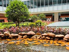 -香港大学