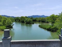 -西溪国家湿地公园