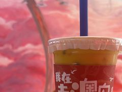 -南澳岛打卡果汁冰公司