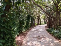 -白沙门生态公园