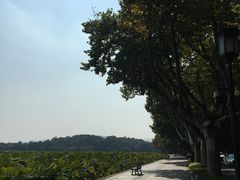 -北山街历史文化街区
