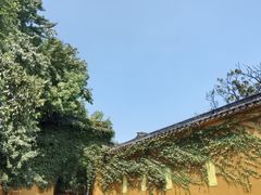 -西园戒幢律寺
