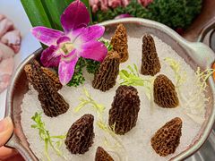 -润泽园椰子鸡(汇一城店)