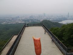 -紫金山山顶公园