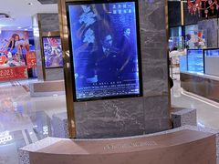 -上海金逸影城(静安大悦城店（原新恒星影城）)