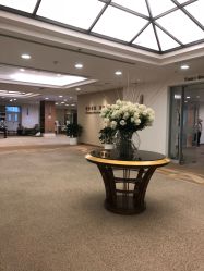 -北京明德医院·医疗美容