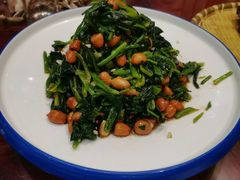 -邵年鸽(杨庄店)