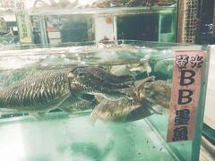 -全记海鲜菜馆(海傍街店)