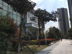 -UPTOP鼎上造型