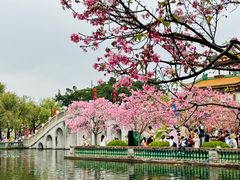 -宝墨园景区