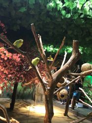 -酷嗒动物文化乐园(cutezoo西溪乐天城店)