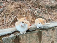 -崂山九水游览区
