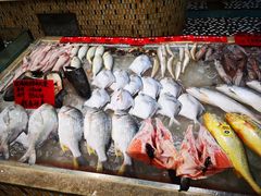 -明珠海港大酒店
