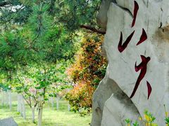 -山东大学(威海校区)