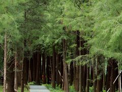 -佛冈森波拉度假区