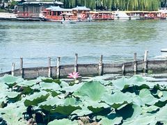 -济南大明湖景区