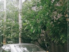 -滇越乘象云南餐厅(豆各庄店)