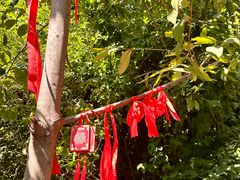 -天津盘山风景名胜区