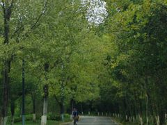 -仙海旅游度假区