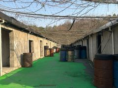 -东湖小天池真人CS彩弹野战基地