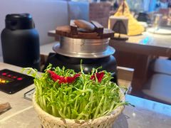 -芸山季·云南野生菌火锅(宝能环球汇店)