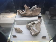 -抱璞文化展示中心