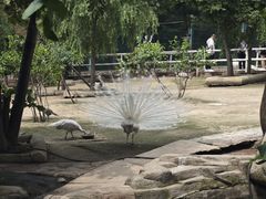 -哈尔滨北方森林动物园