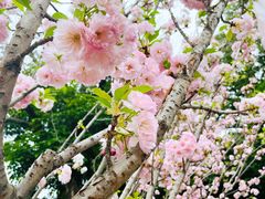-观澜湖生态运动公社
