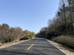 -宜兴龙背山森林公园