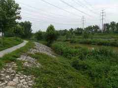 -洨河生态公园