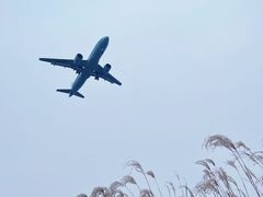 -空港花田景区