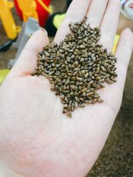 -孩子王童乐园(马群店)