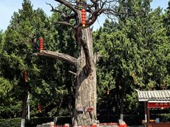 -尧庙景区
