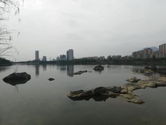 -飞来湖湿地公园
