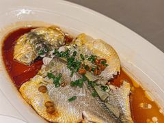 -维园悦谱·海派家常菜(乌鲁木齐南路店)