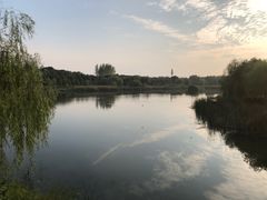 -贡湖湾湿地公园