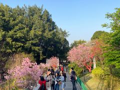 -乌山风景区