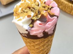 -深圳野生动物园