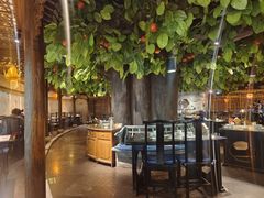-四世同堂·京菜·烤鸭(双井店)