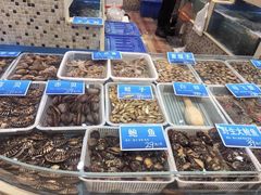 -双井轩(双井店)
