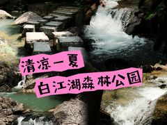 -广州白江湖森林公园