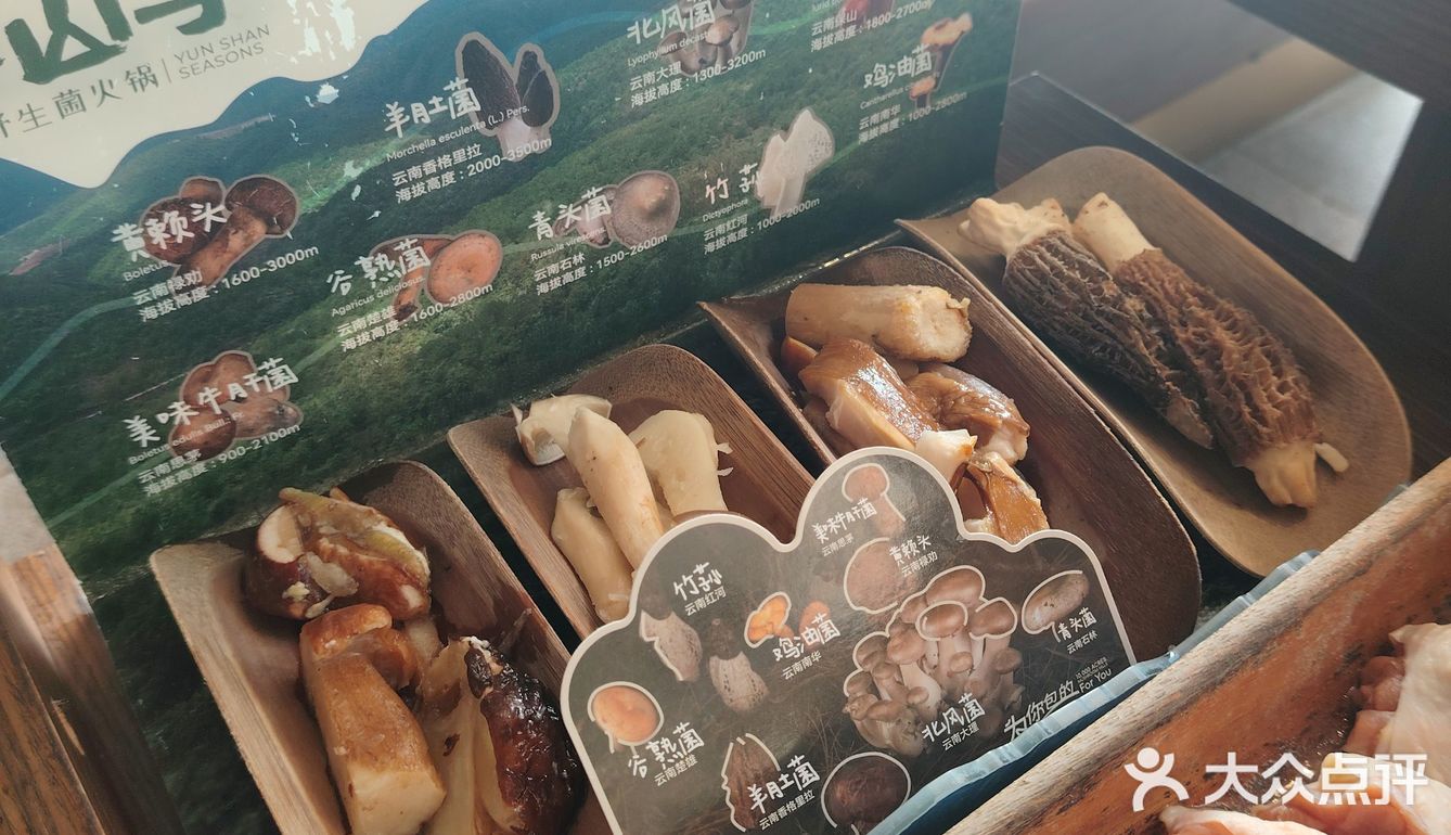 春天吃菌子啦，这家云南火锅绝了