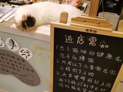 -平行世界·猫咖(首经贸店)