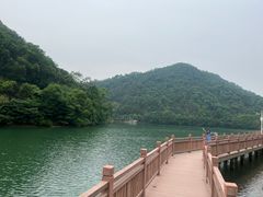 -桃花岭景区