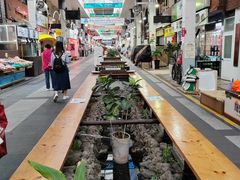 -西归浦每天偶来市场