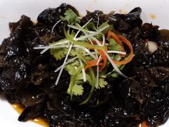 -碧中海汤泉汗蒸酒店