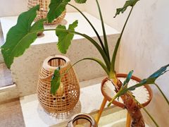 -HUATA 'Holiday Plan 花榻