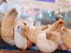 -都市阳光海鲜城(青山湖店)