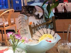 龙趸-尚海豆捞(乐虹坊店)