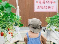 -加顺农场餐厅